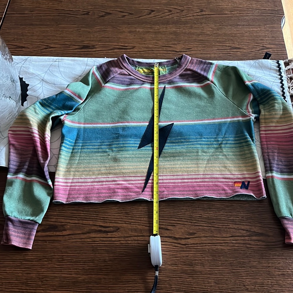 Aviator Nation Multicolor Striped Sweatshirt